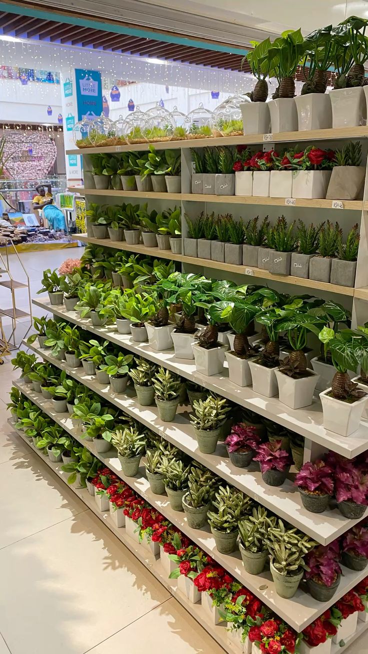 Need a quote for bulk plants?